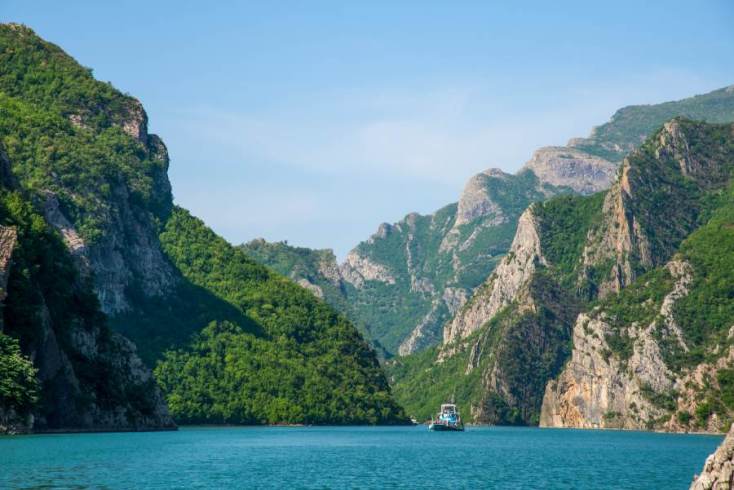 koman-4-shutterstock-large