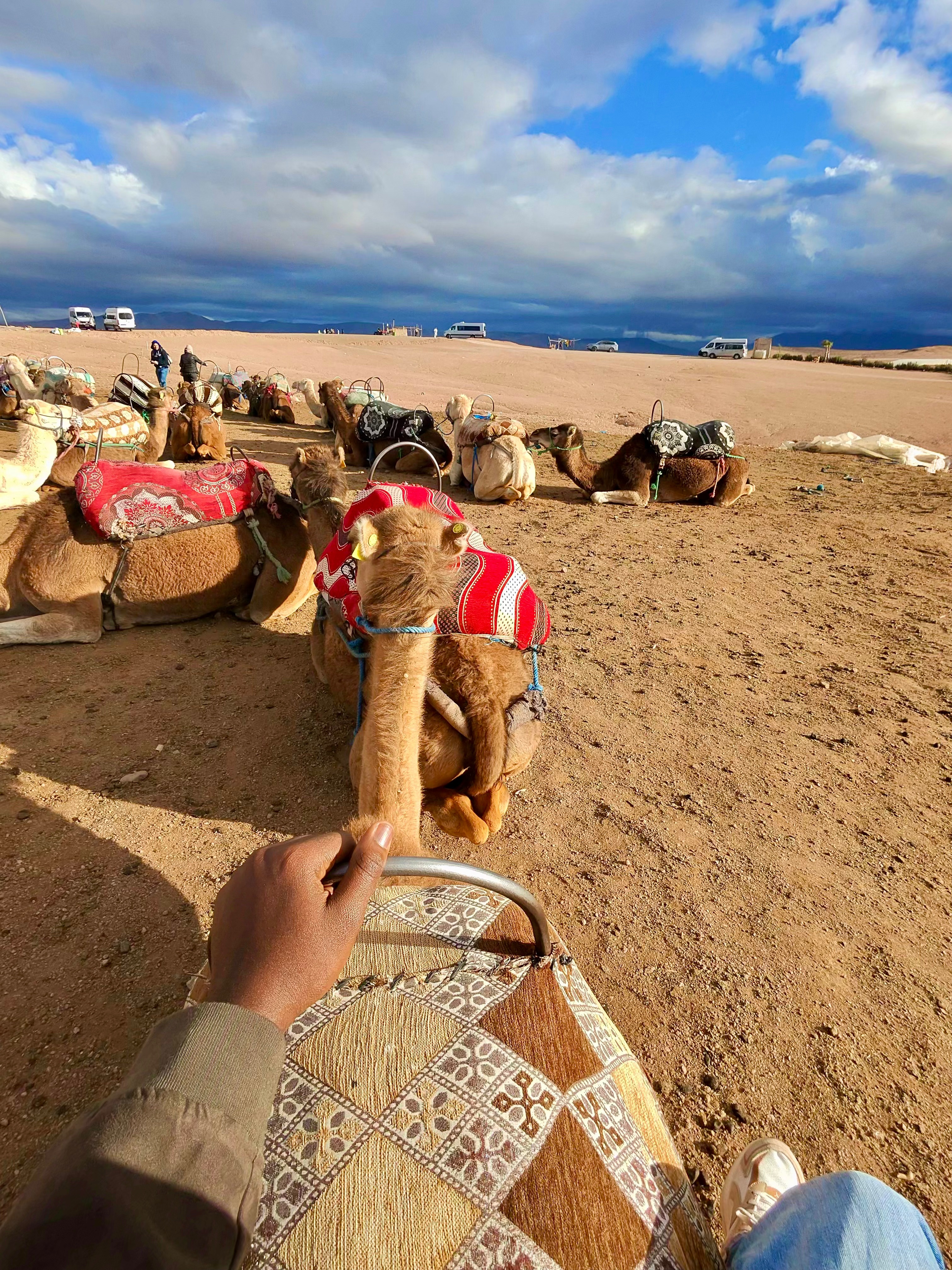 photo-8031_singular_display_fullPicture